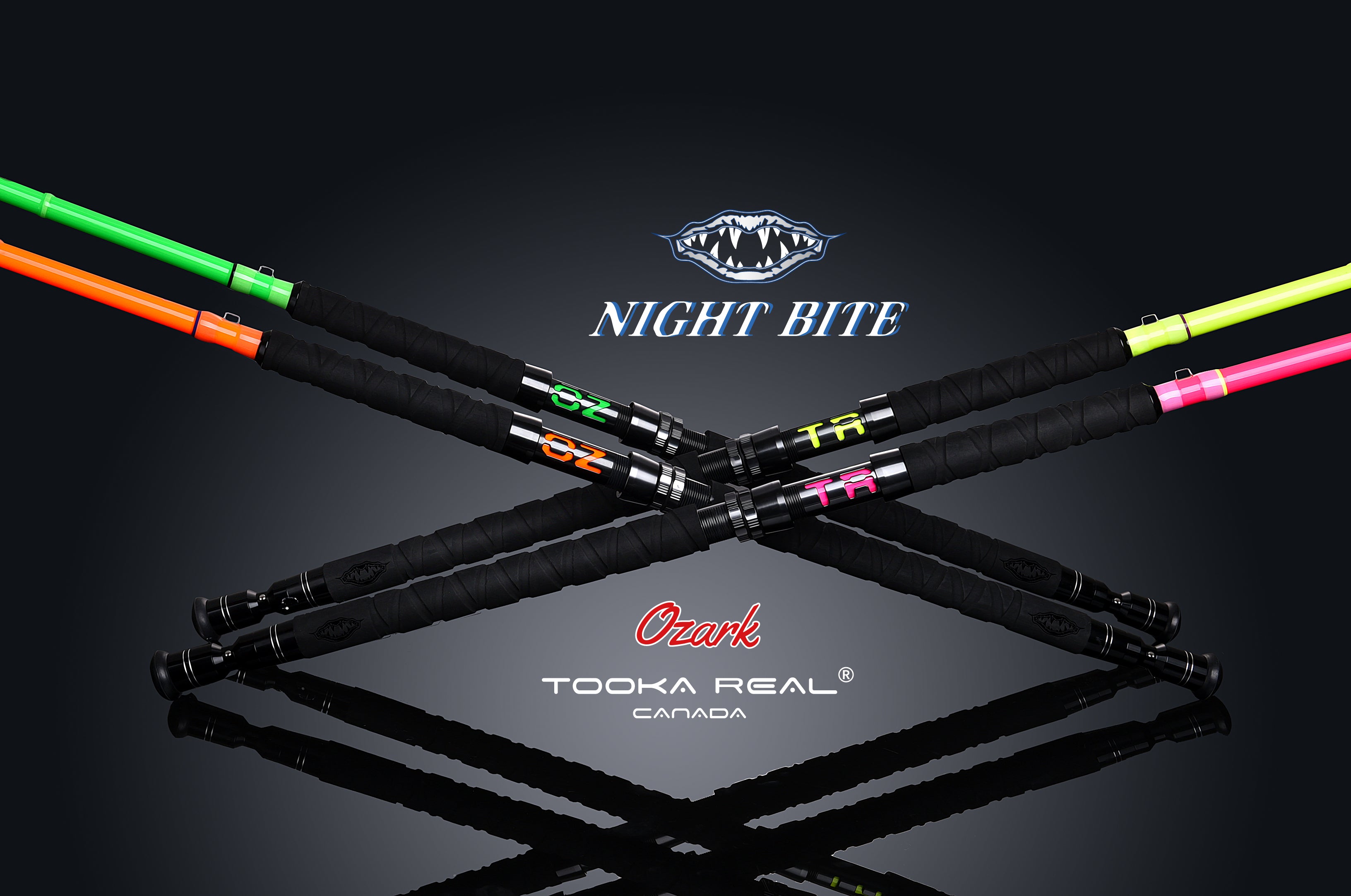 Night Bite Spinning Sturgeon / Catfish Rod