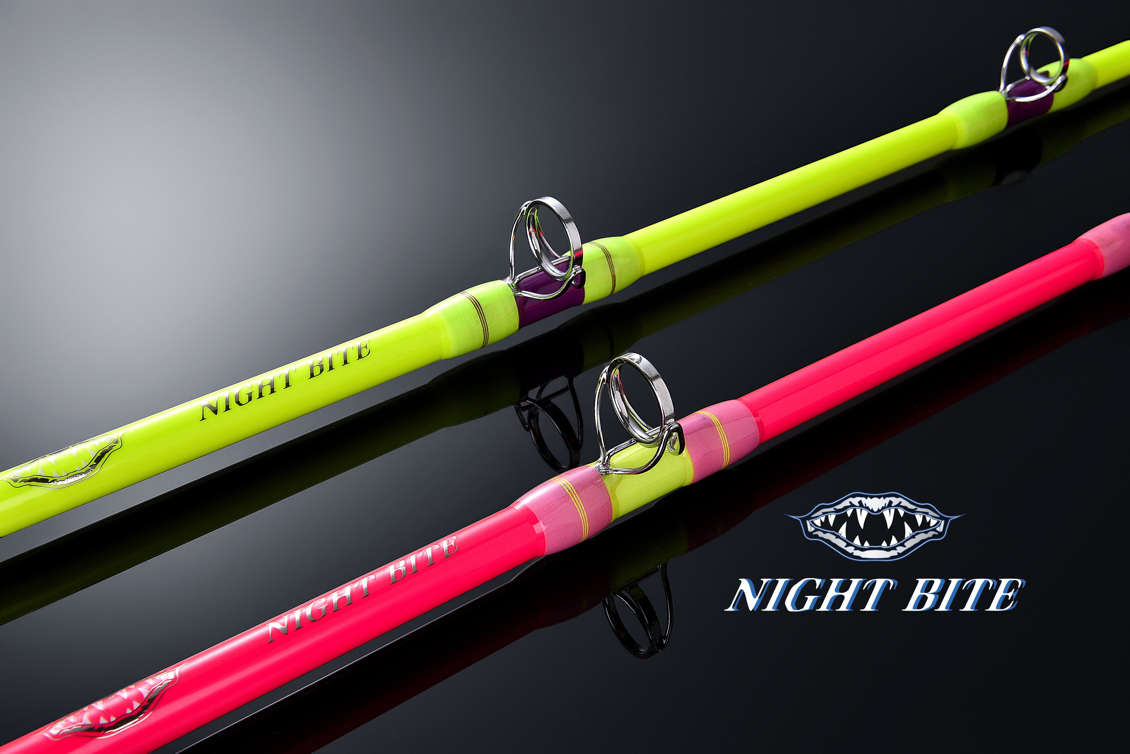 Night Bite Spinning Sturgeon / Catfish Rod